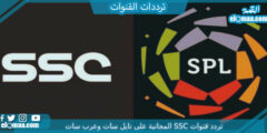 تردد القنوات الرياضية السعودية الجديد 2023 تردد القناة SSC السعودية الرياضية الجديد 1444