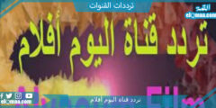 تردد قناة اليوم أفلام الجديد 2023 على النايل سات وعربسات Alyaoum Aflam