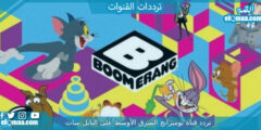 تردد قناة بوميرانج الشرق الأوسط 2023 على النايل سات Boomerang