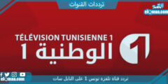 تردد قناة تلفزة تونس 1 الجديد 2023 على النايل سات وعربسات Telvza TV